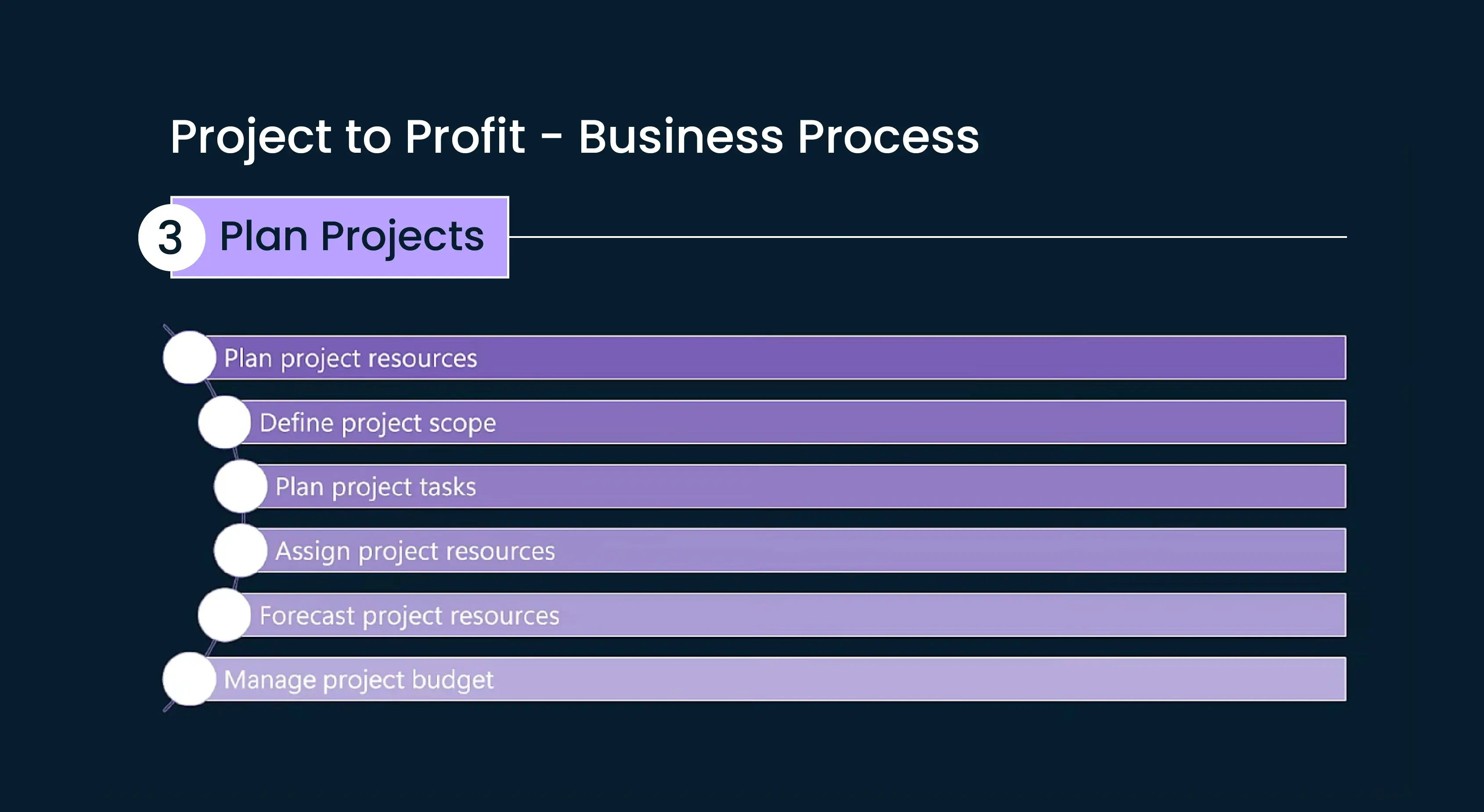 Project to Profit - Business Process-03