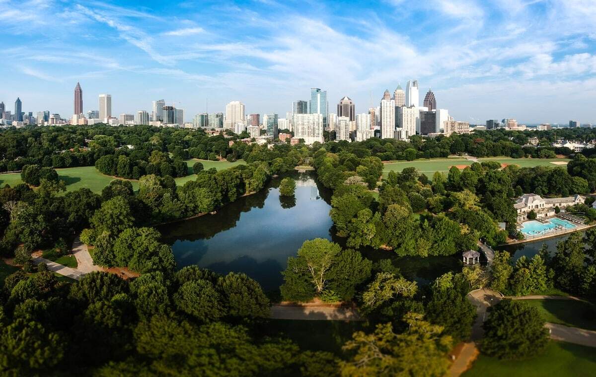 A-Forested-City