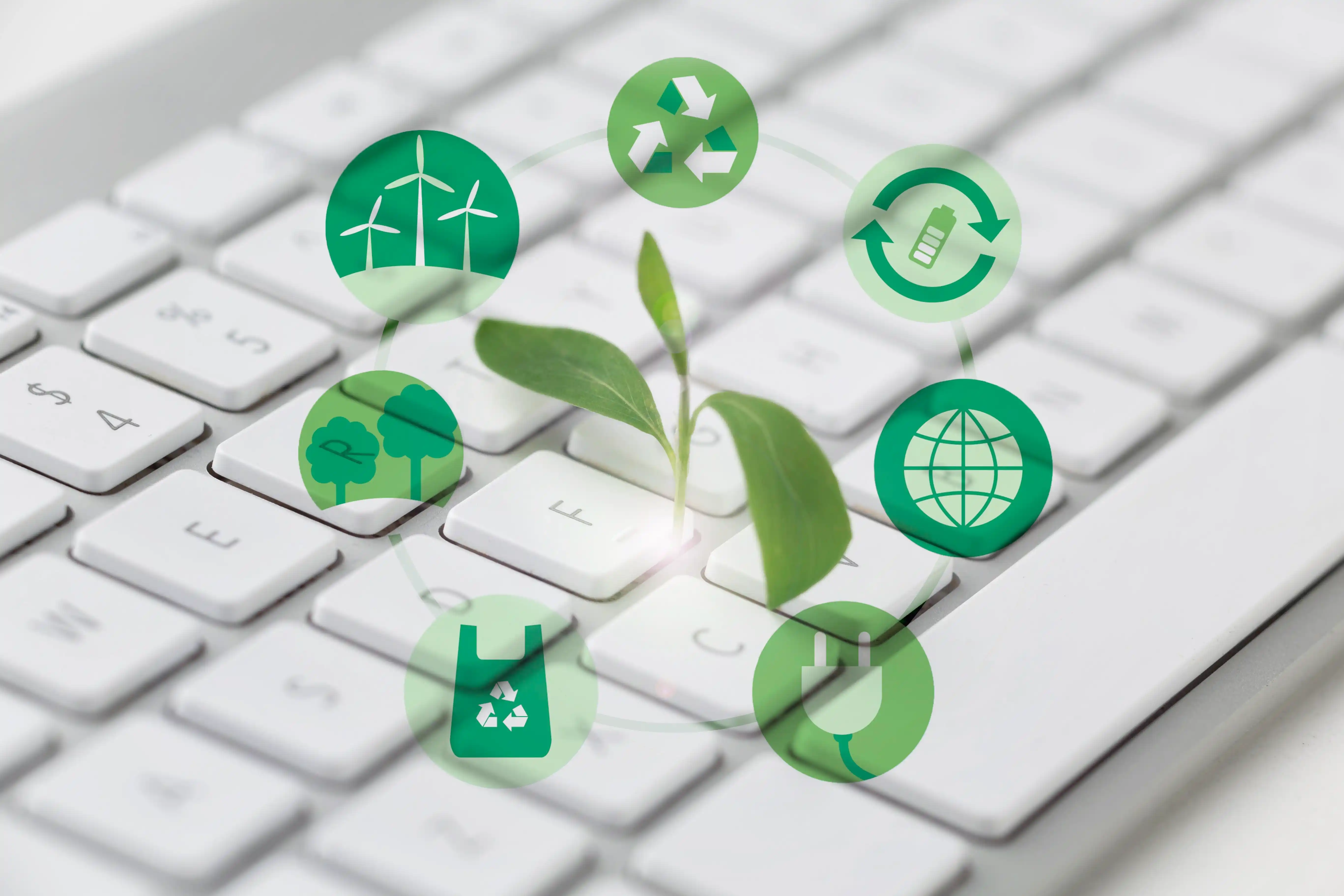 Integrated Ecosystem